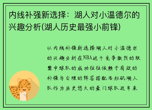 内线补强新选择：湖人对小温德尔的兴趣分析(湖人历史最强小前锋)